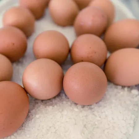 グランド コスタ ブラダ 4*